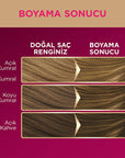 Palette Deluxe 8-0 Honey Blonde Hair Dye - Permanent, Long Lasting Color & Shine, Deep Nourishment with Oils Palette Deluxe Honey Blonde Hair Dye: Permanent Color & Shine hair dye, permanent hair color, hair color, Palette Deluxe, honey blonde hair dye, 8-0 hair dye, long lasting hair color, hair coloring, hair dye with oil, shiny hair dye, hair color with oil, blonde hair, hair nourishment, hair shine, vibrant hair color, at-home hair color, hair dye for women, hair dye for long hair, new hair color, hair 