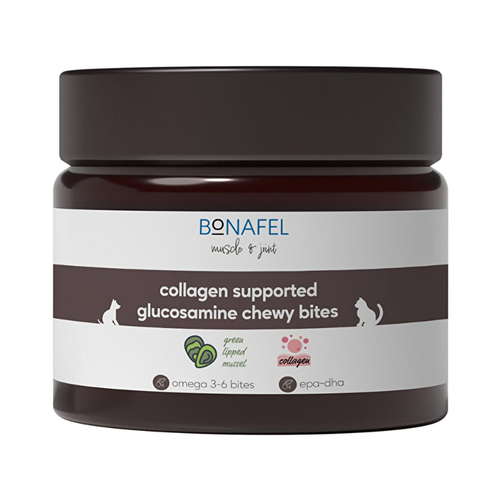Bonafel Pet Supplement for Cats & Dogs - Glucosamine & Spirulina Chewable Tablets for Joint Health - view 4