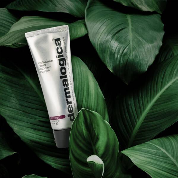 Dermalogica Multivitamin Power Recovery Masque - Anti-Aging Face Mask with Vitamin A & Natural Ingredients - view 2