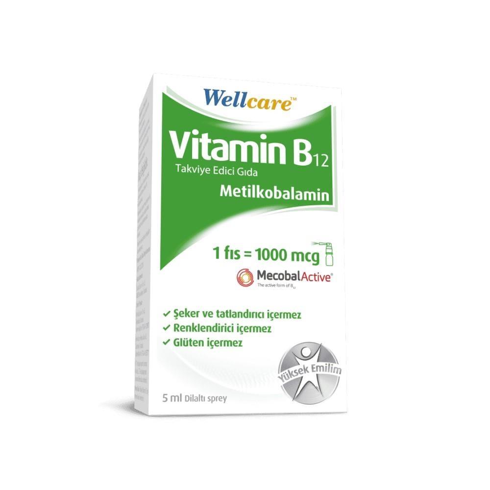 Wellcare Vitamin B12 Supplement - Methylcobalamin Energy Support 5ml - image 4