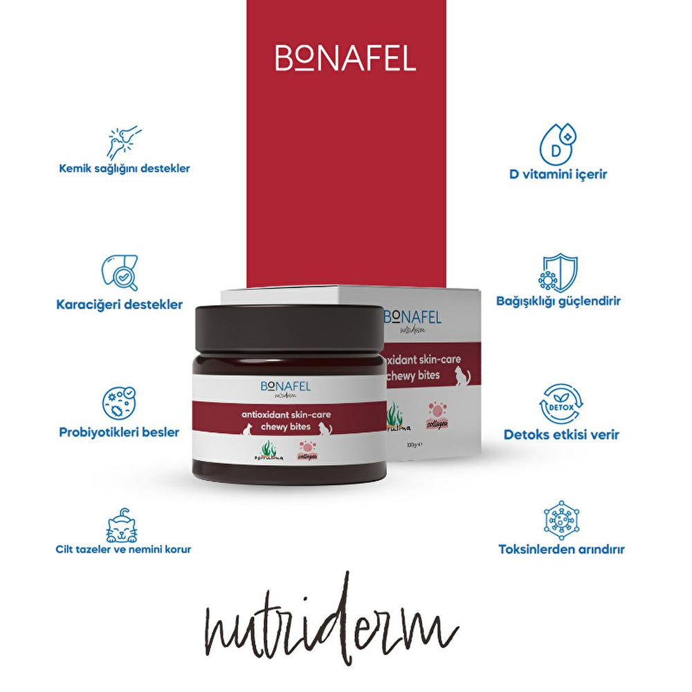 Bonafel Pet Supplement Tablets for Cats & Dogs - Spirulina & Collagen for Healthy Skin, Coat & Joints - Natural - view 3