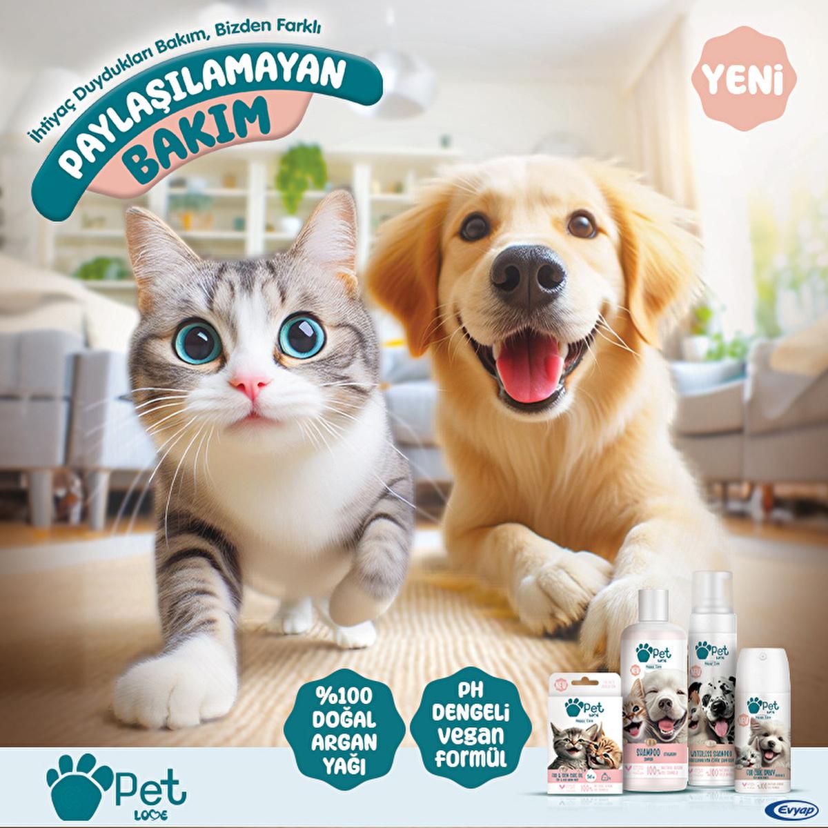 Pet Love Argan Oil Pet Shampoo for Cats & Dogs - Natural, Gentle, 16.91 fl oz Pet Love Argan Oil Shampoo for Pets pet shampoo, natural pet care, argan oil pet shampoo, dog shampoo, cat shampoo, gentle pet shampoo, nourishing pet shampoo, healthy pet coat, pet grooming, natural pet products, argan oil benefits, pet care essentials
