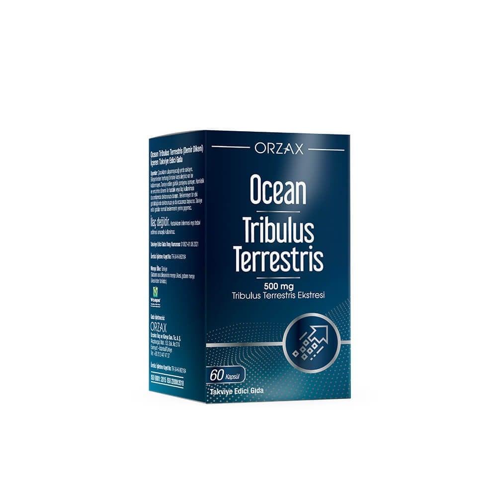Ocean Tribulus Terrestris 500 mg - Natural Dietary Supplement for Adult Health & Wellness Tribulus Terrestris 500mg - Natural Dietary Supplement Tribulus Terrestris supplement, Dietary supplement, Herbal extract capsule, Natural health product, Adult dietary support, Health and wellness, Non-pharmaceutical supplement, Tribulus, Demir Dikeni, Dietary support, Herbal extract, Capsule supplement