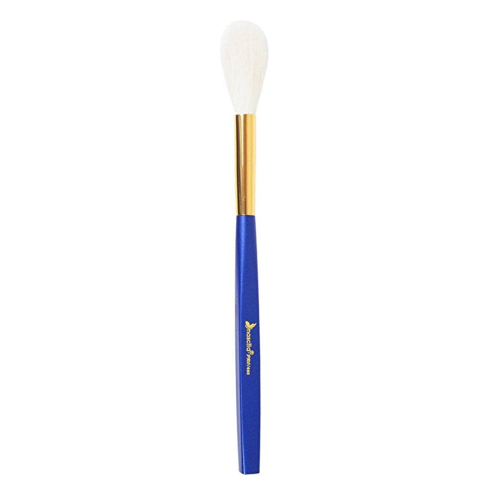 Nascita Exc Lamore Illuminating Fan Brush 460