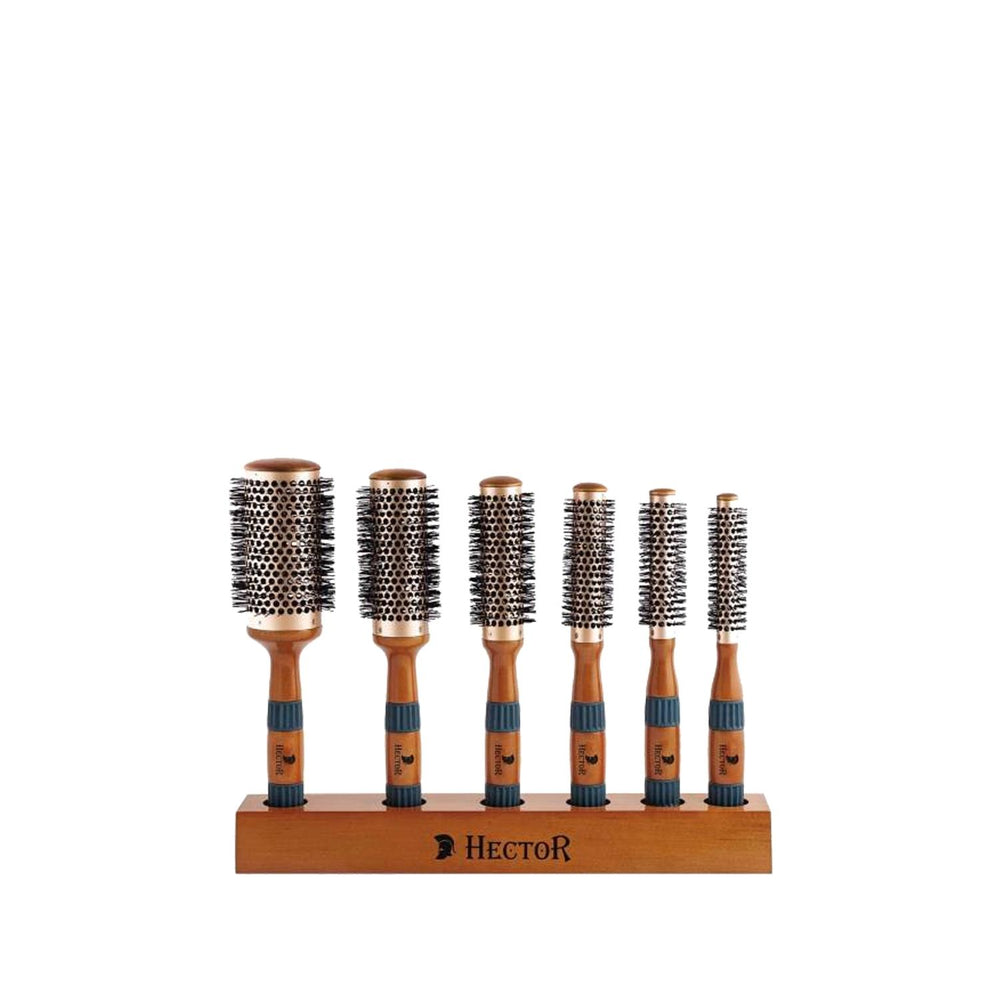 Hector Hair Brush Set - 6 Piece Vent Design for Detangling and Styling - Makeup Brush