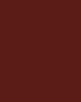 Beaulis Twin It Double-Sided Lipstick & Lip Liner 174 Dark Salmon