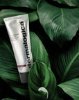 Dermalogica Multivitamin Power Recovery Masque: Anti-Aging Hydrating Facial Treatment for Dull Skin | Boost Elasticity & Reduce Wrinkles Dermalogica Multivitamin Mask: Anti-Aging & Hydrating Treatment Dermalogica mask, multivitamin power recovery masque, anti-aging face mask, hydrating facial treatment, wrinkle reduction mask, skin elasticity booster, dull skin brightening, vitamin A face mask, seaweed extract skincare, mature skin treatment, face mask, anti-aging, hydration, wrinkles, elasticity, dull skin