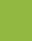 LYKD Lip Oil 704 Jade Green for Hydrated Lips
