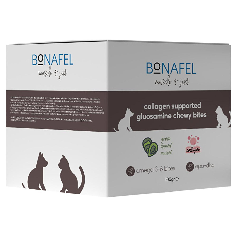 Bonafel Pet Supplement for Cats & Dogs - Glucosamine & Spirulina Chewable Tablets for Joint Health - Vitamin & Supplement