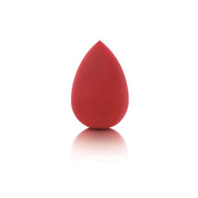 Pastel Makeup Sponge - Profashion | Versatile Applicator - Hair Accessories