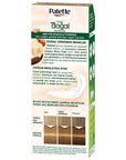 Palette Natural Hair Dye - Light Caramel (Açık Karamel) Permanent Hair Color for Natural Look Palette Light Caramel Hair Dye - Natural & Long-Lasting Hair dye, Natural hair color, Permanent hair color, Palette hair dye, Light Caramel hair color, Açık Karamel, Natural ingredients, Long-lasting hair color, Hair care, Hair coloring, Chemical-free hair dye, Palette natural hair dye, Hair color shade, Caramel hair color