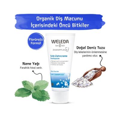 Weleda Natural Toothpaste with Sea Salt - 2.54 fl oz, Fluoride-Free, Organic Oral Care Weleda Natural Toothpaste - Fluoride-Free Oral Care natural toothpaste, fluoride-free toothpaste, organic oral care, sea salt toothpaste, natural ingredients for oral hygiene, health-conscious, environmentally aware, gentle oral care, Weleda, oral hygiene products, natural oral care products