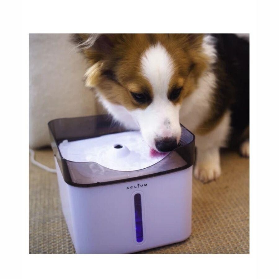 Aclium Automatic Pet Water Fountain Quiet 2.4L