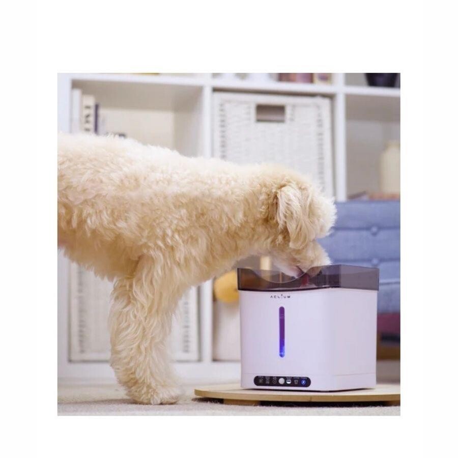 Aclium Smart Sensor Pet Water Fountain with 3-Layer Filter 2.4L