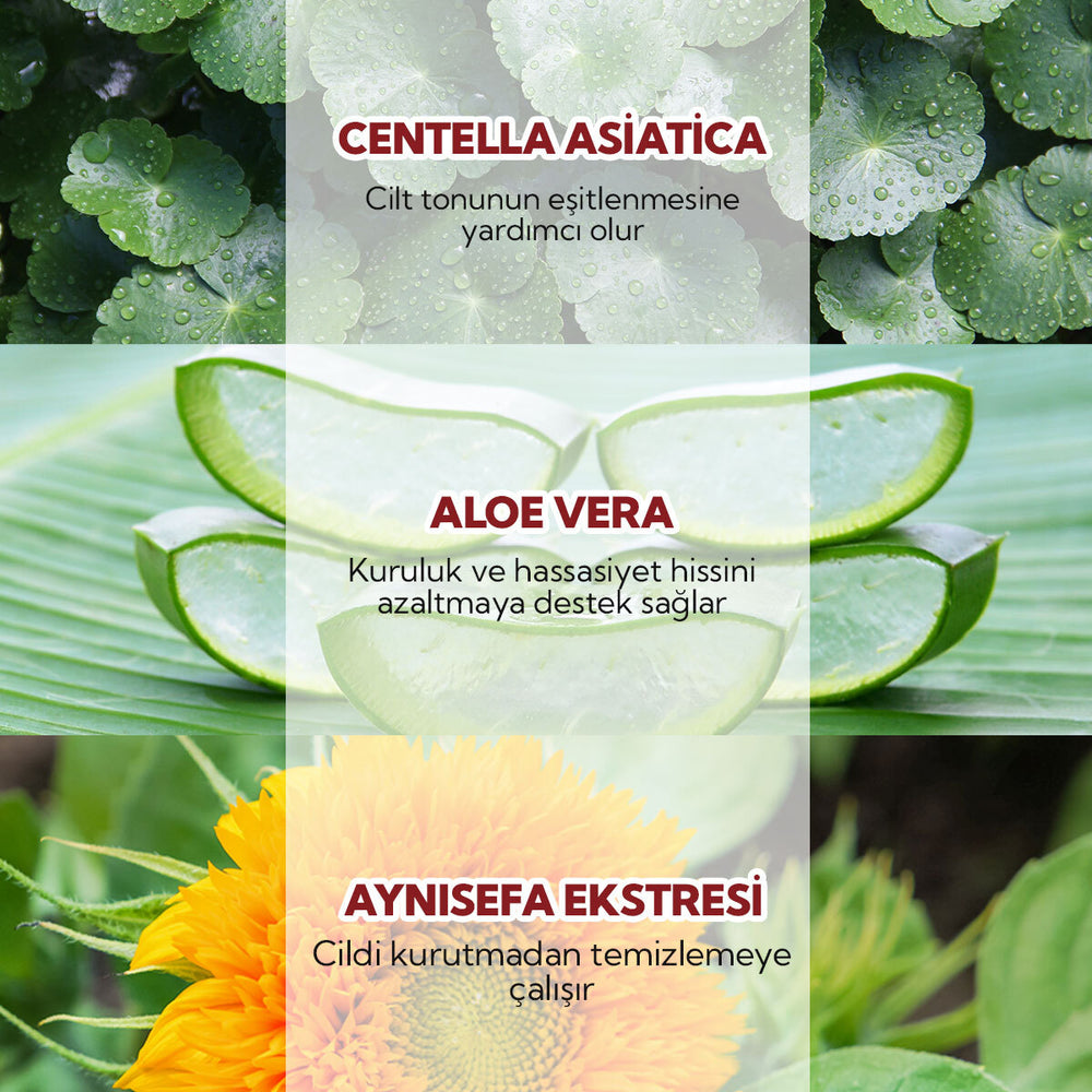 Alls Biocosmetics Organic CicaVera Cleansing Gel 50ml