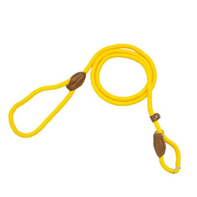 Ally Paws Large Dog Training Lead for Maximum Control 150 cm