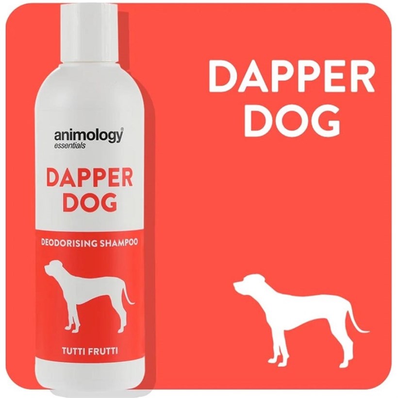 Animology Essentials Dapper Dog Deodorizing Shampoo 250 ml