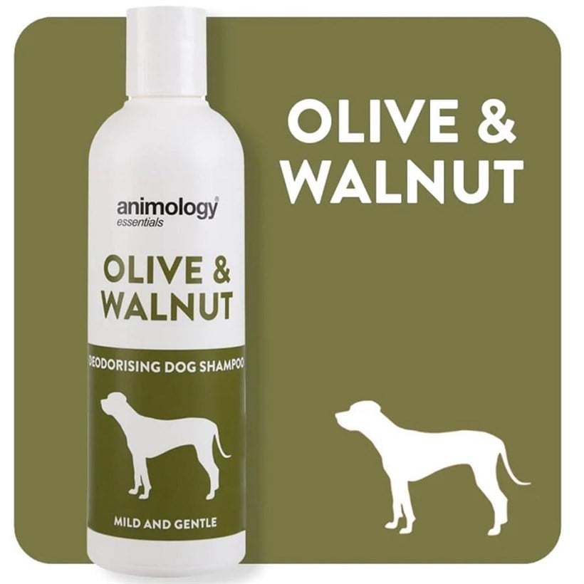 Animology Essentials Olive & Walnut Dog Shampoo 250 ml