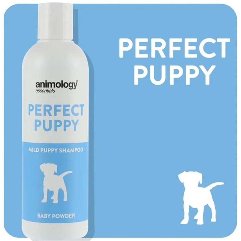 Animology Essentials Perfect Puppy Puppy Shampoo, Baby Powder Scent, 250 ml