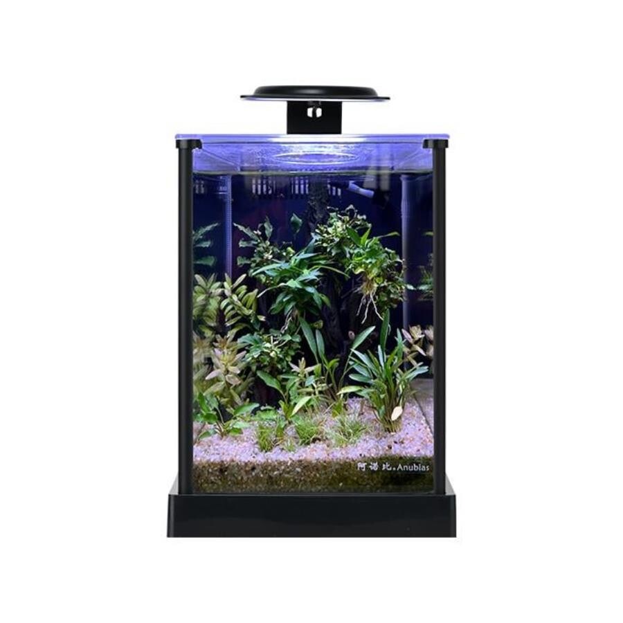 Anubias A168 Nano Aquarium Set with Integrated Lighting 11L