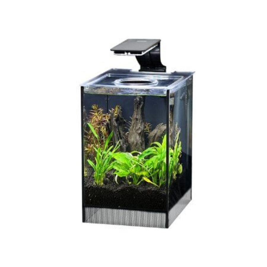 Anubias Danio 25 Nano Aquarium with LED Lighting Black 9L