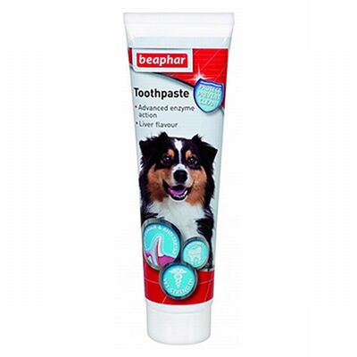 Beaphar Tooth Paste Liver Flavor Dog Toothpaste 100 g