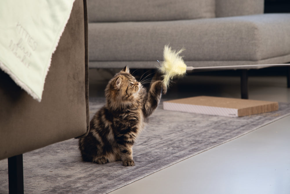 Beeztees Orry Feather Cat Teaser Wand for Active Play 45cm