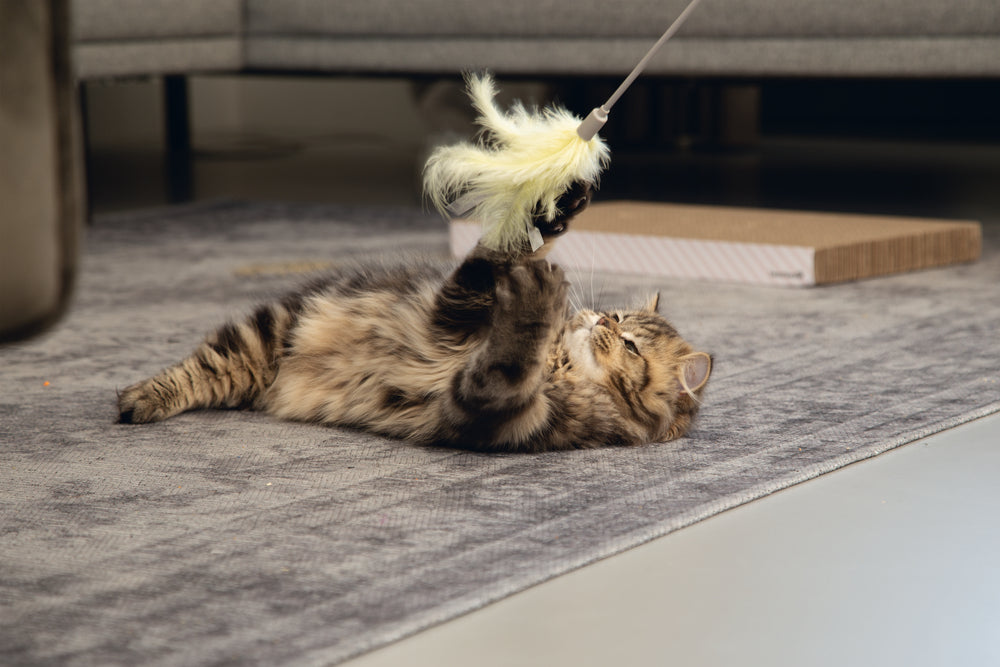 Beeztees Orry Feather Cat Teaser Wand for Active Play 45cm