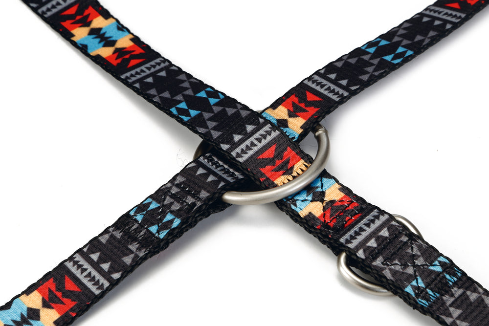 Beeztees Patterned Dog Training Leash Adjustable Nylon 200cm