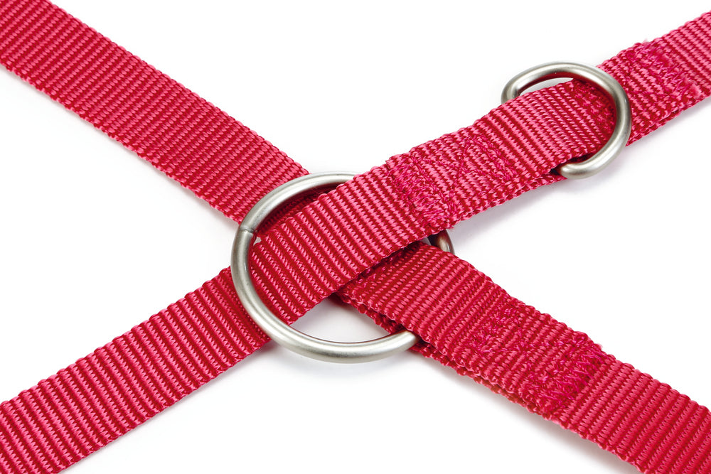 Beeztees Adjustable Nylon Dog Leash Pink 200cm x 20mm