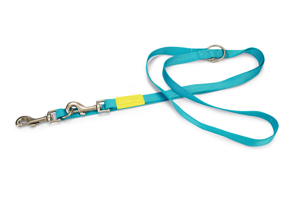 Beeztees Adjustable Nylon Dog Leash Turquoise 200cm x 20mm