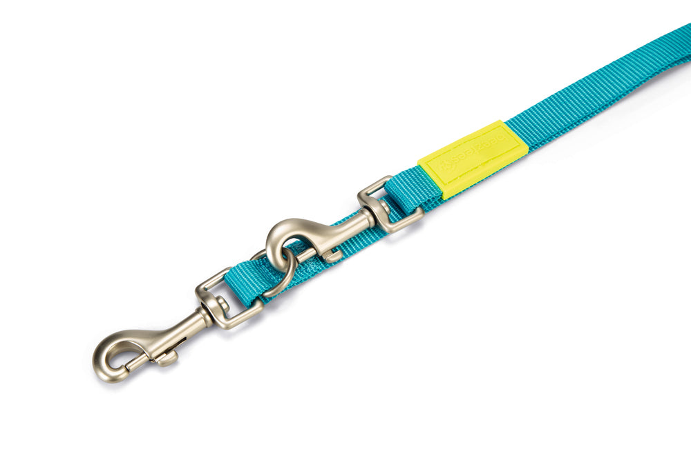 Beeztees Adjustable Nylon Dog Leash Turquoise 200cm x 20mm