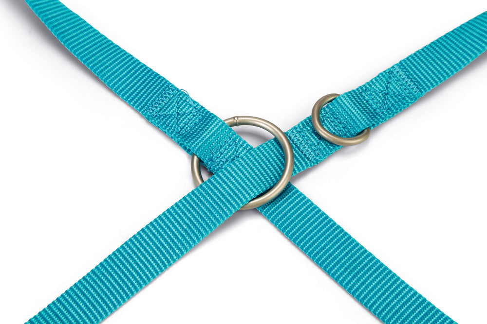 Beeztees Adjustable Nylon Dog Leash Turquoise 200cm x 20mm