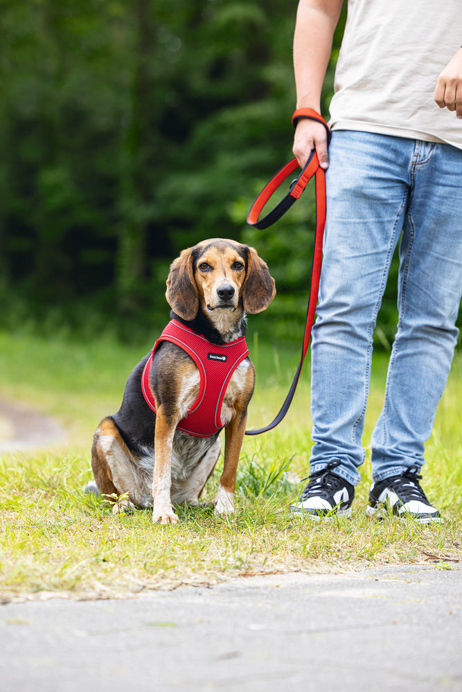 Beeztees Neoprene Step-In Dog Harness Red Medium 41-46cm