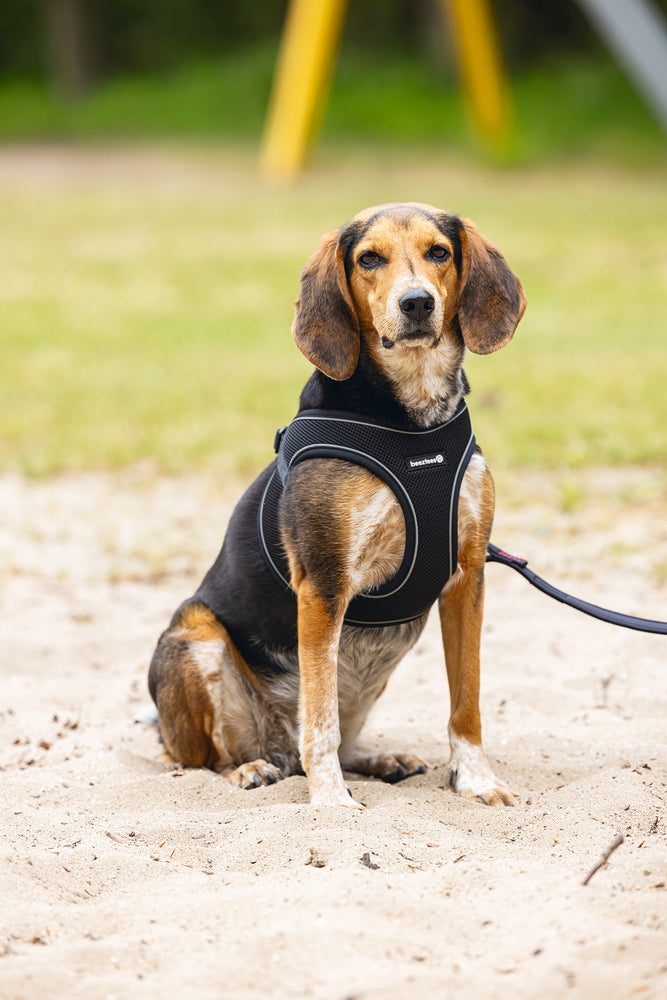 Beeztees Neoprene Step-In Dog Harness Black Medium 41-46cm