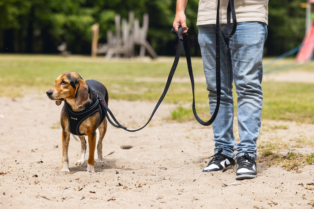 Beeztees Neoprene Step-In Dog Harness Black Medium 41-46cm