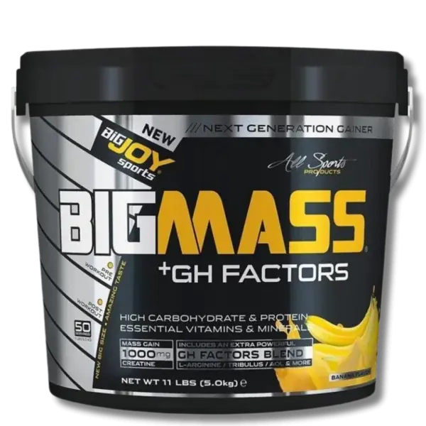 Bigjoy Sports Big Mass +GH Factors Gainer Powder 5000g