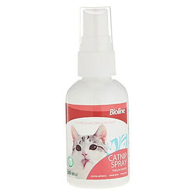 Bioline Catnip Spray Natural Play Stimulant 50ml