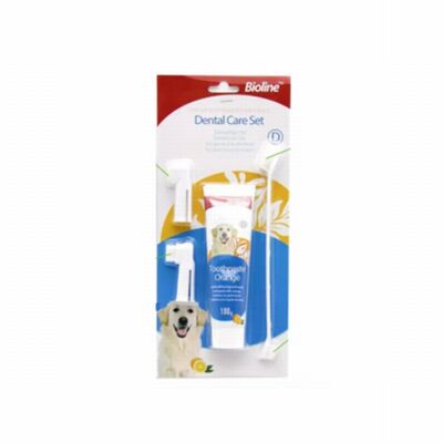 Bioline Orange Flavor Dog Dental Care Set for Fresh Breath 100g