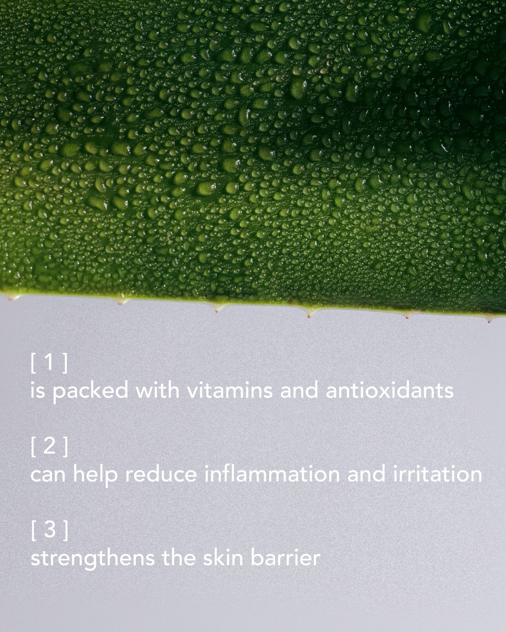 BIOSET