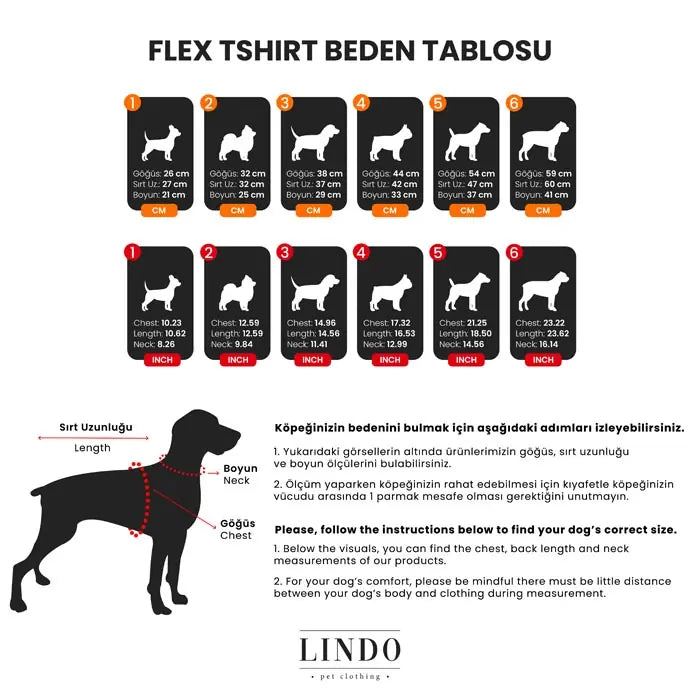 Lindo Make Today Amazing Flex Dog T-Shirt Lightweight Apparel
