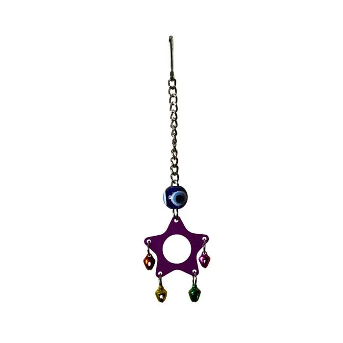 Birdlife Acrylic Star Pendulum Bird Toy for Cages