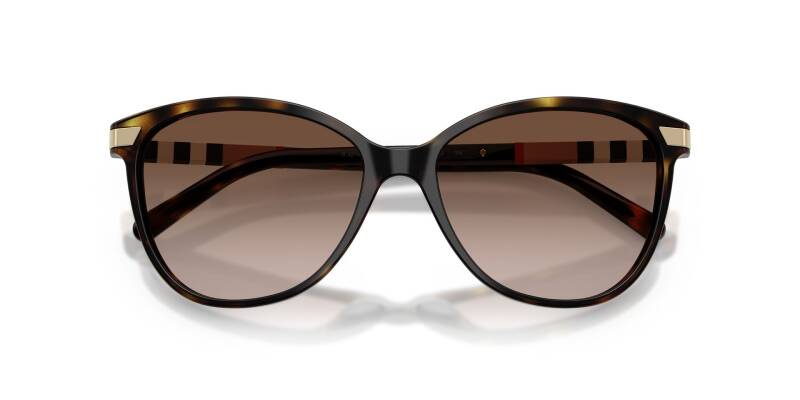 Burberry 0BE4216 30021357 Women's Brown Lens Sunglasses 57mm