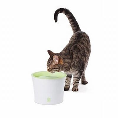 Catit Fresh & Clear Automatic Pet Fountain with Filter 3L