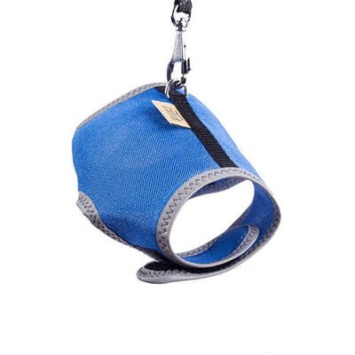 Cattie Air Mesh Cat Harness and Leash Set Royal Blue Medium