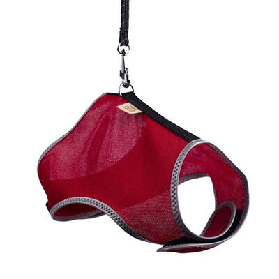 Cattie Air Mesh Cat Harness and Leash Set Red Small 20-30cm