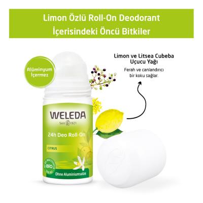 Weleda Natural Roll-On Deodorant - Aluminum-Free, Lemon Scented, 24-Hour Protection - view 4