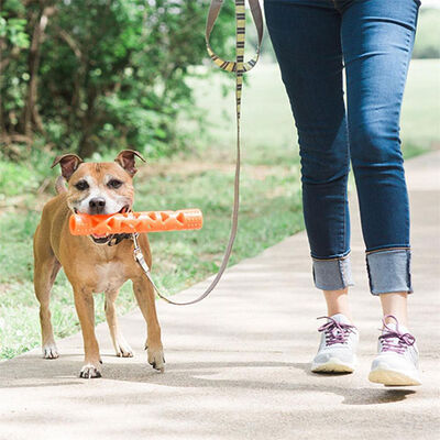 Chuckit! Air Fetch Stick Breathable Durable Dog Toy 31 cm