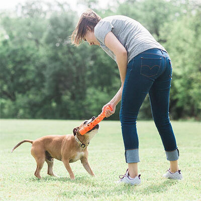 Chuckit! Air Fetch Stick Breathable Rubber Dog Toy 18 cm