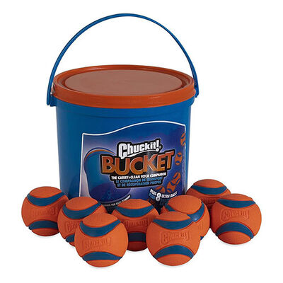 Chuckit! Ultra Ball Bucket Set Durable Dog Toys 8 Pack